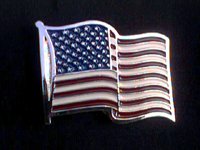Waving USA Flag