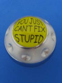 You Can't Fix Stupid