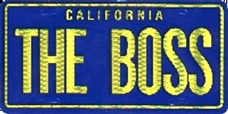 The Boss