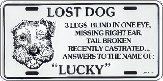 Lost Dog ... Lucky